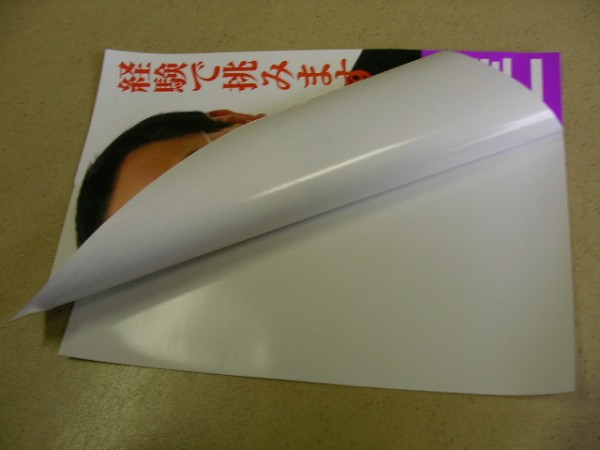 禁忌品：合成紙の選挙ポスター(やぶれません）強力粘着シール‼　ユポタック紙